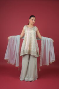 bahuranisaree - indowestern thumbnail