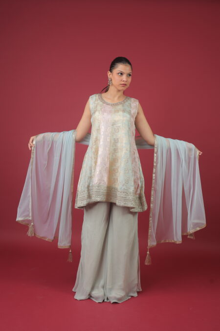 bahuranisaree - indowestern thumbnail